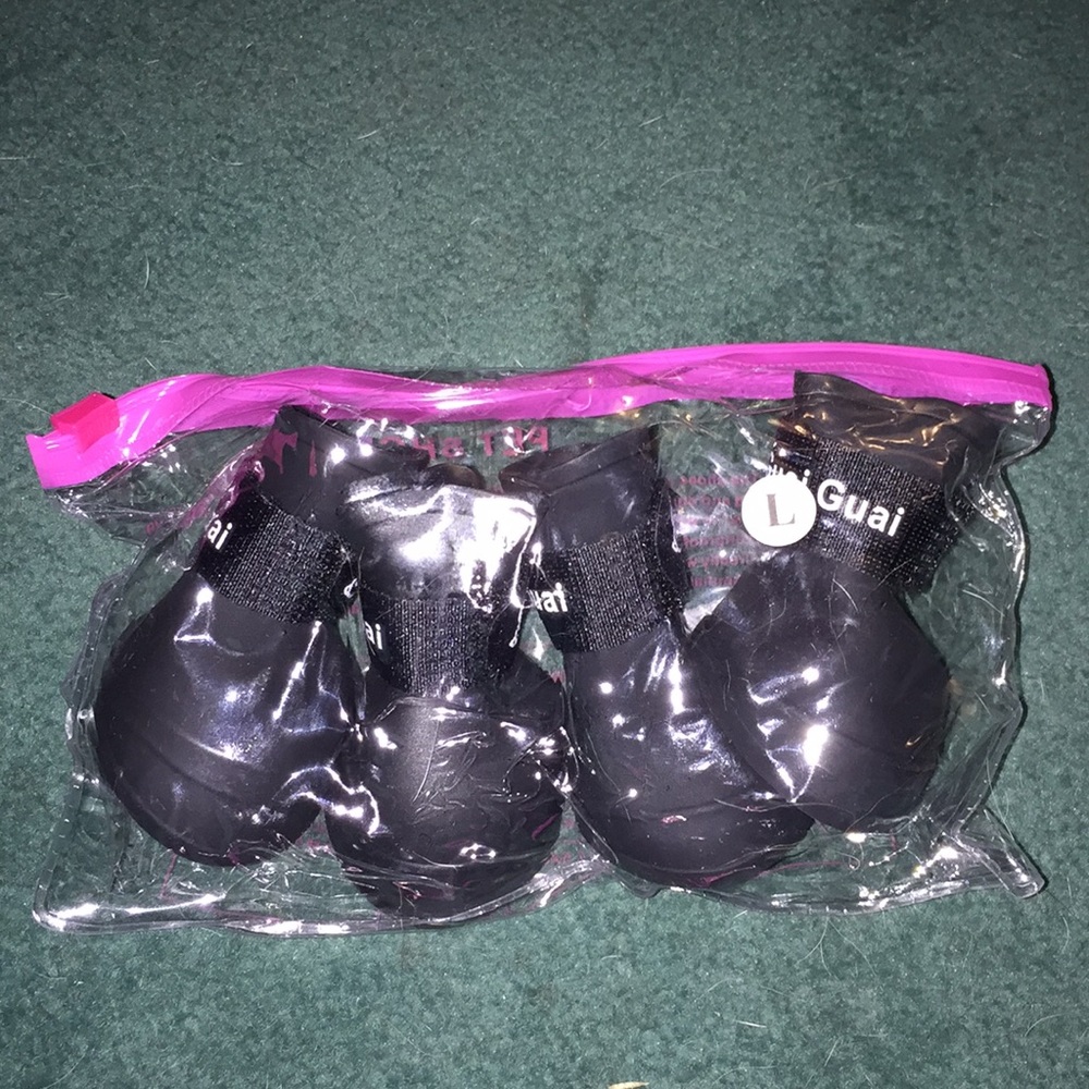 Black dog shoes